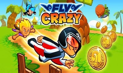 game pic for Fly Crazy